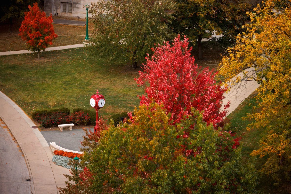 Fall at IU >>>>>> anywhere else. 🍂🍁🍂 

#iubloomington
#indianauniversity