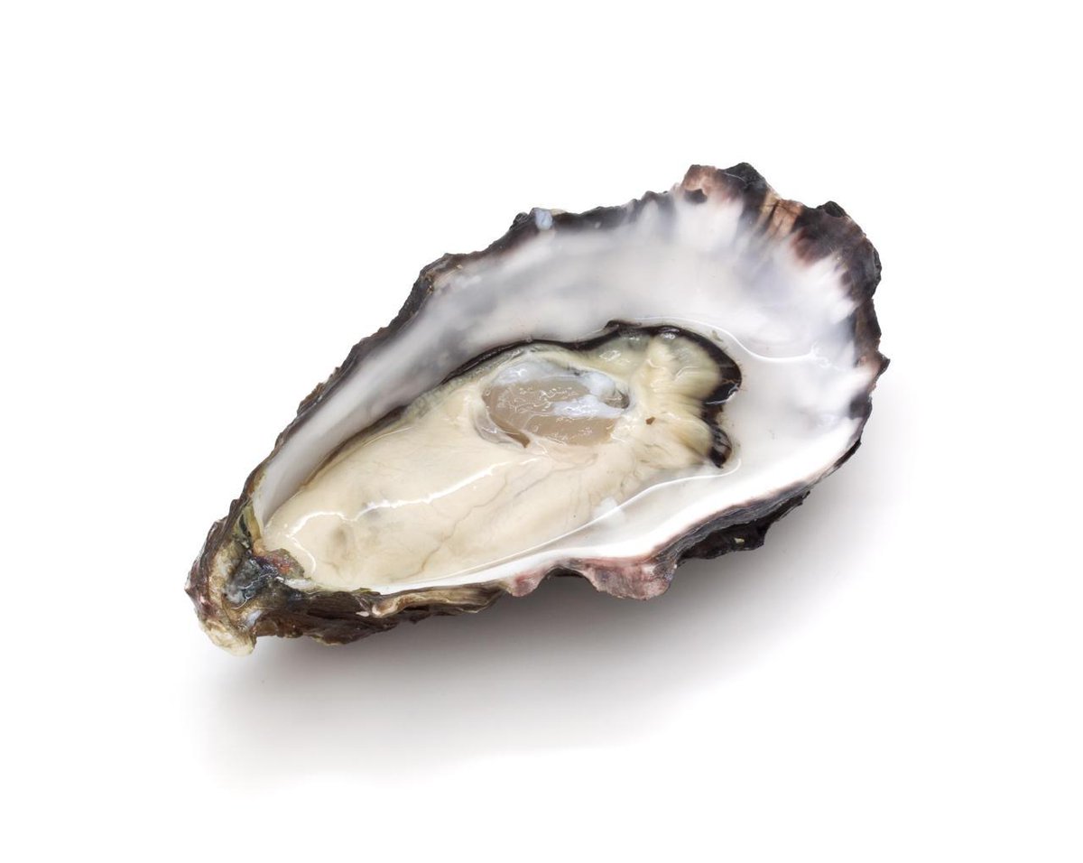 cedric_barberet's tweet image. Thursday October 20th,
Merasheen Oyster from Newfoundland, Canada 
are our #OysterOfTheWeek! 
This Oyster offer a Sweet briny flavor with a slight mélange of seaweed notes and clean ocean finish.
#ShellfishLover #OysterHead #Sustainable 
Limited availability
#OysterLover #F