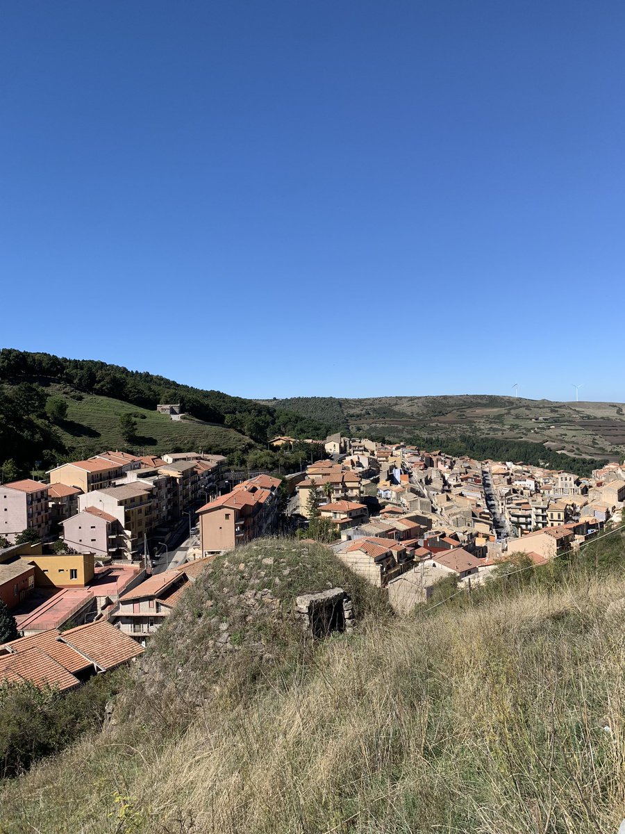 The Crowded Planet tweet media