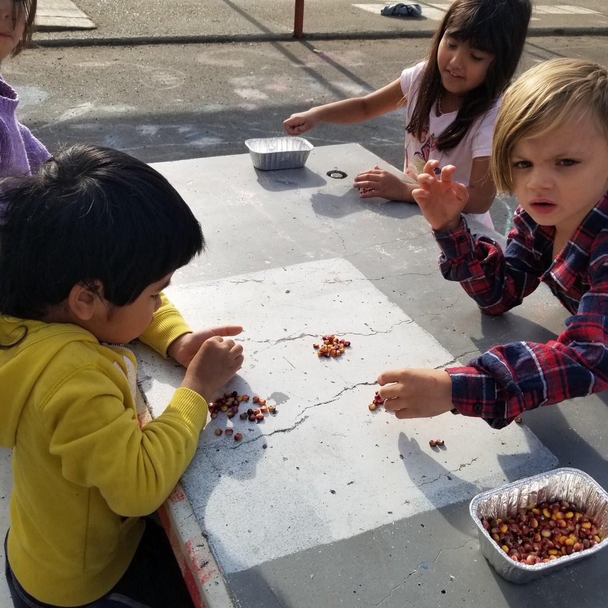 MOkrainetz's tweet photo. Investigating flint corn and how it is different or the same are regular corn. Then a sorting lesson with all their kernals.#TakeMeOutsideDay #TMO4LearningChallenge #sd27 https://t.co/HMfRVvtqmr