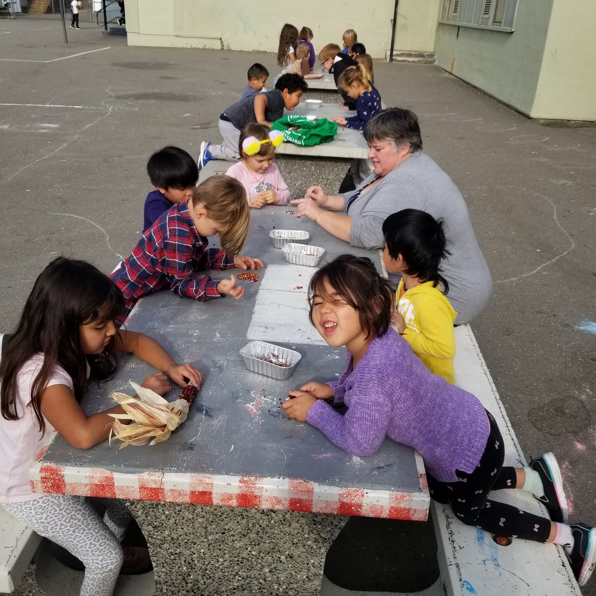 MOkrainetz's tweet photo. Investigating flint corn and how it is different or the same are regular corn. Then a sorting lesson with all their kernals.#TakeMeOutsideDay #TMO4LearningChallenge #sd27 https://t.co/HMfRVvtqmr
