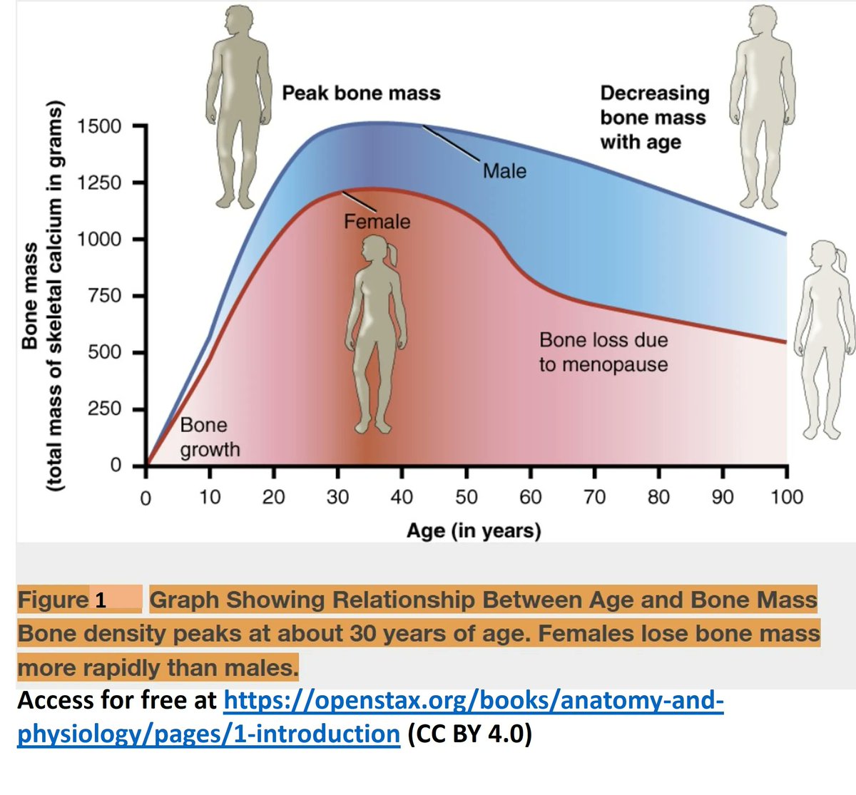DocAliceWrites's tweet image. Everyone experiences bone thinning after middle age. It can cause easy fractures and disability. See how to reduce your risk here: buff.ly/3esHy3f 

@iofbonehealth #worldosteoporosisday #NoMoreBrokenBones #StepUpForBonehealth #Osteoporosis