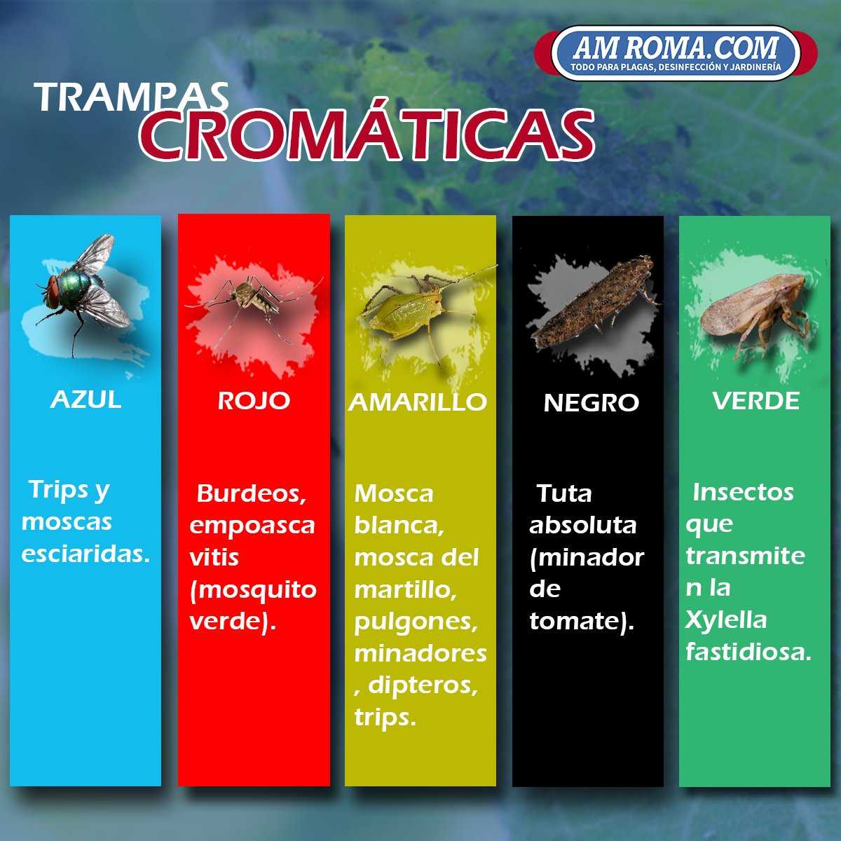 amroma_com's tweet photo. Las trampas cromáticas son muy utilizadas hoy en día en el control de plagas, ¿Sabias que existen diferentes colores para atraer a diversos tipos de plagas? Aquí te mostramos los mas comunes.

#trampas #amroma #controldeplagas #plagas https://t.co/B4kplFoFxV