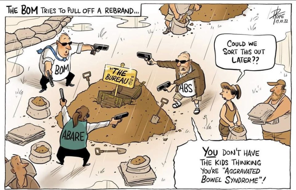 Adam Guise tweet media