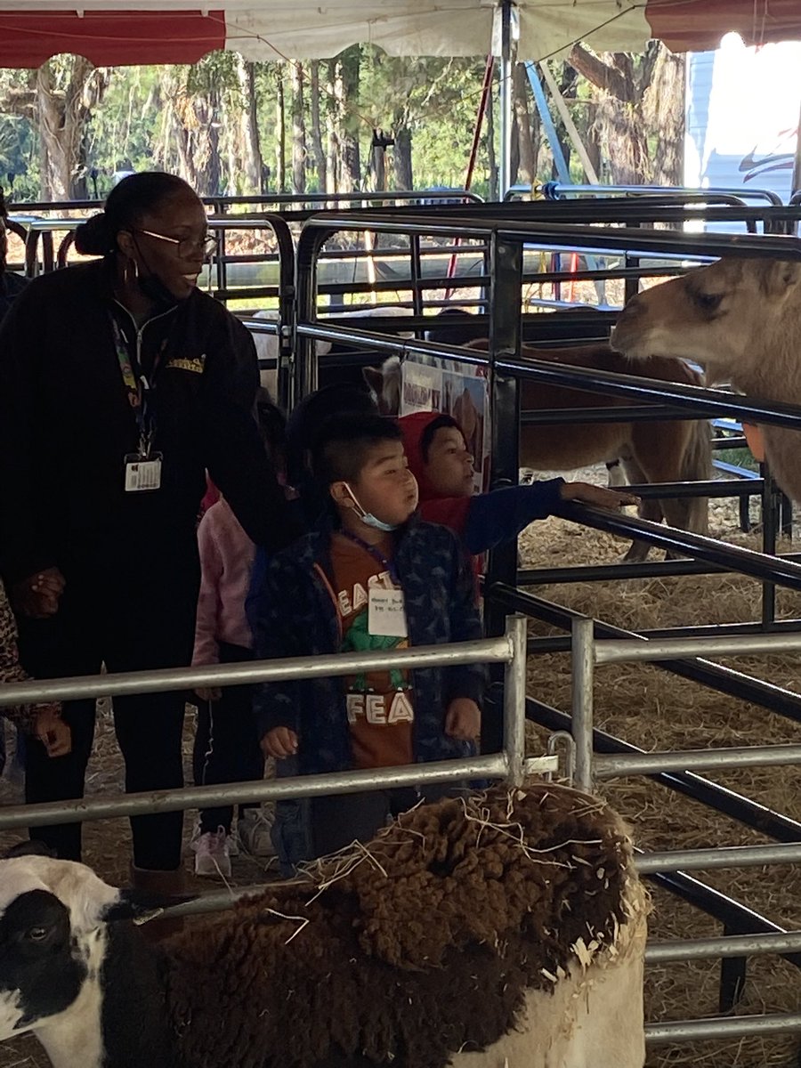 Nelson_class's tweet photo. What a fun day out at Boone Hall experiencing the pumpkin patch!  We loved petting the animals and the hay ride but the play ground was the best… and our guide Joe was awesome!  @hunley_park @Boone_Hall https://t.co/uc2Lc6FoxU
