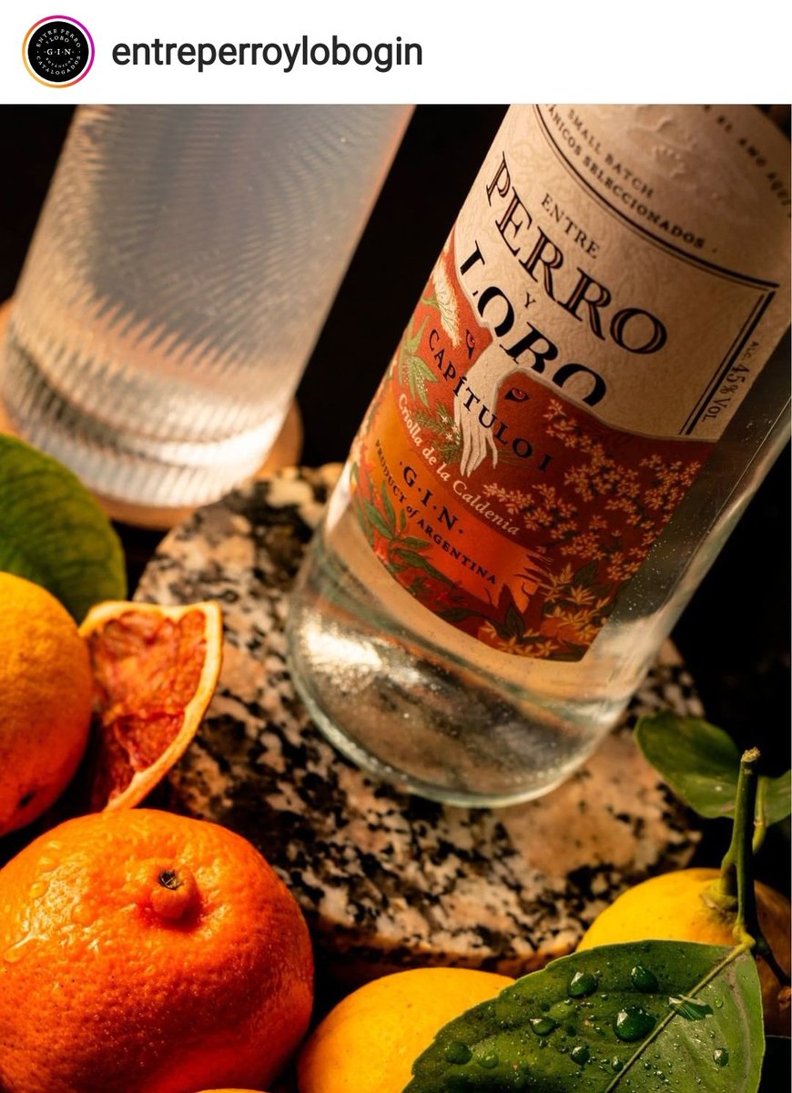 Día Mundialdel Gin Tonic, probá el nuestro #EntrePerroyLobo !!!

bodegasescondidas.com.ar/product-catego…