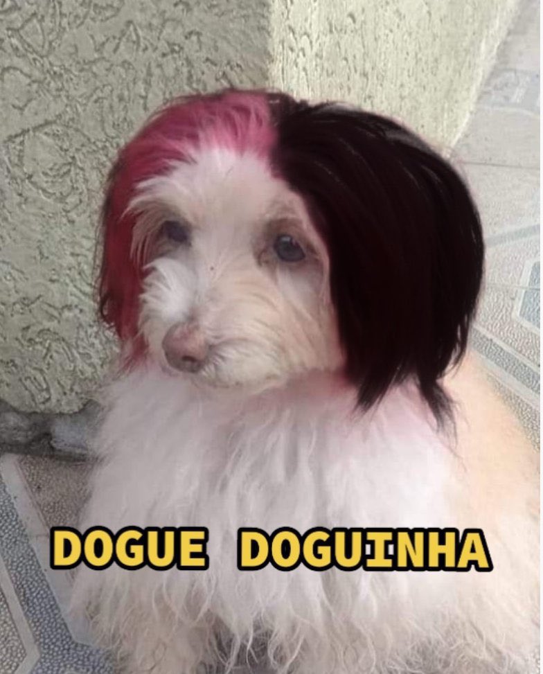 ullystudy's tweet image. e vamos de hablar: espanhol surra inglês no enem e isso é um fato