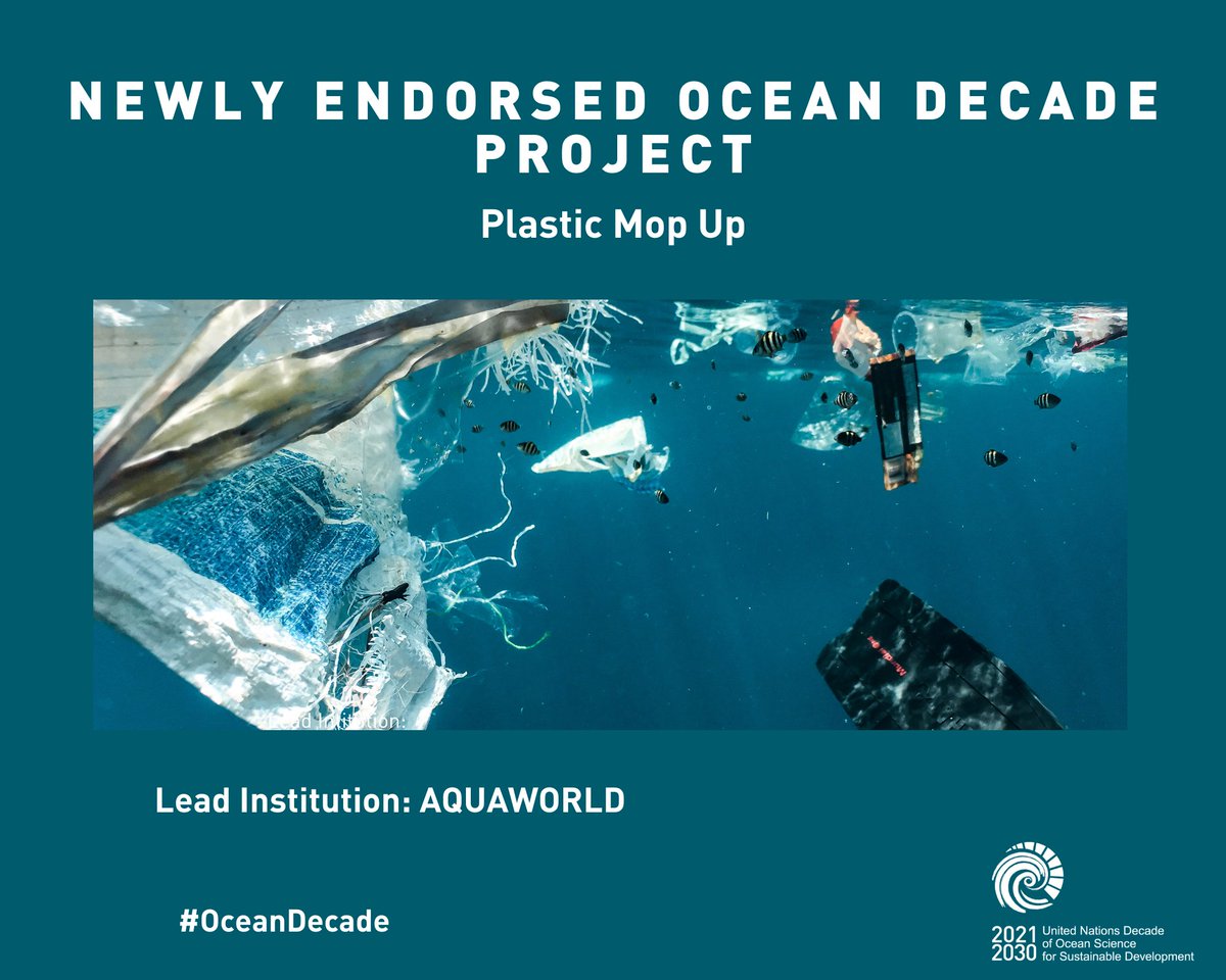 🥤 Plastic Mop Up is one of our newly endorsed #OceanDecade Projects❗ Discover how to engage with this Decade Action that empowers women in #Nigeria through its initiatives to understand & beat marine #pollution.📲 bit.ly/3EUNvRr ✋bit.ly/3sabYe8