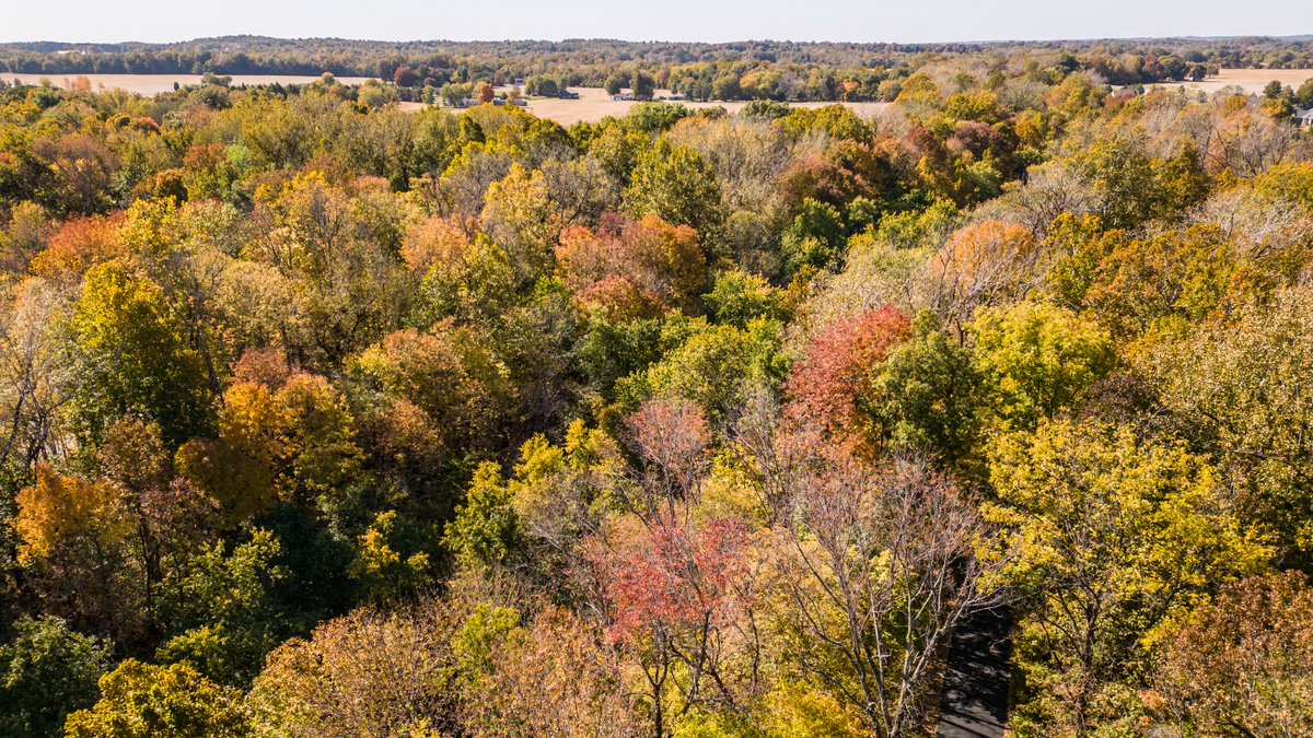 Skyworx_Media's tweet photo. After getting a pot of chili going @TriggerWx and I went leaf peeping.  There's color in some places but it's not quite to peak yet in Owenboro #kywx #tristatewx #fallcolor #fallcolors2022 https://t.co/kHZ4EqZvHD