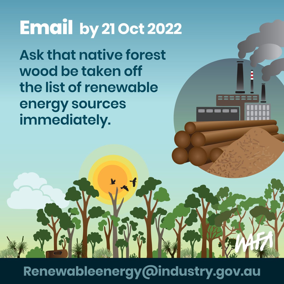 Burning native forests for energy is more polluting than coal & NOT renewable or sustainable. We've made a public submission calling for the federal gov to remove #BigBadBiomass from the renewable energy target. 
Submissions close tomorrow, act now>> victorianforestalliance.org.au/big_bad_biomas…