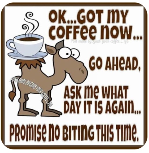 Your_Coffee_Fix's tweet photo. #HumpDay #AllDay βοΈ #gotmycoffe #justask #coffeetimeβ€οΈ#nobiting π¬ https://t.co/iX55dJBwti