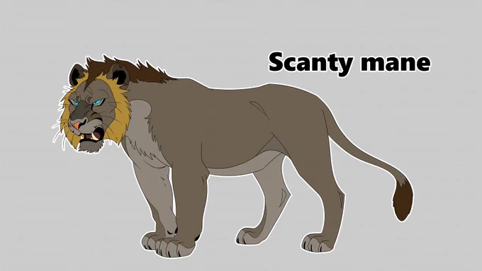Lion adopts!$20 eachPaypal invoices only(be aware of tax). Have DM's open, I'll give you the hi res .psd and .png files without the watermark. TOS in the thread. 