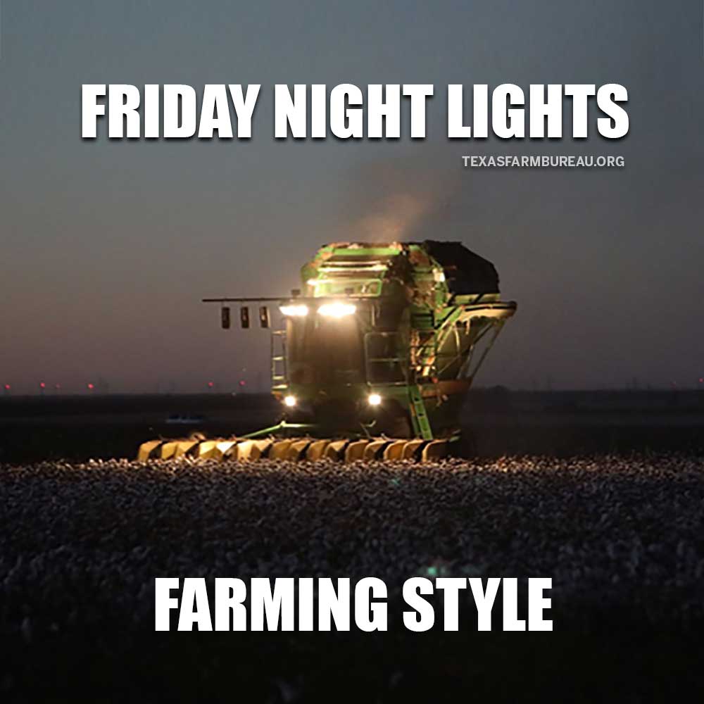 TexasFarmBureau's tweet photo. Friday Night Lights. Farming style. See how agriculture plays a role in football: https://t.co/ZqeHoPbxFg https://t.co/YExXOrJIfn