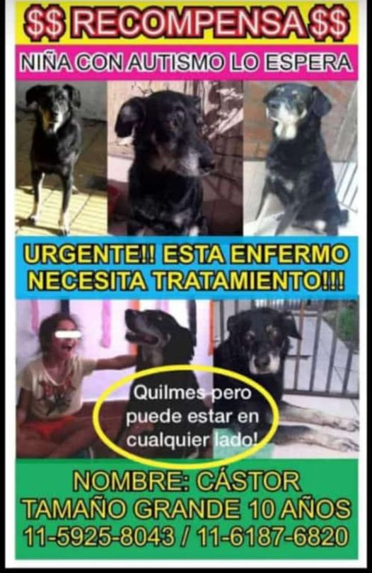 elnegrochicho's tweet photo. #ATENCION #QUILMES lo busca un niño con #autismo - Es #CASTOR https://t.co/NzNxW3C7mK