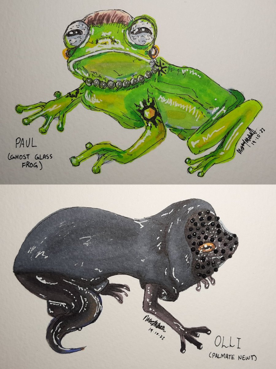 MaryfulOfGhosts's tweet photo. I said I'd do it and I have-
Rammstein as amphibians

Ribbit Ribbit
FEUER FROG! https://t.co/BLCfKA7qPc