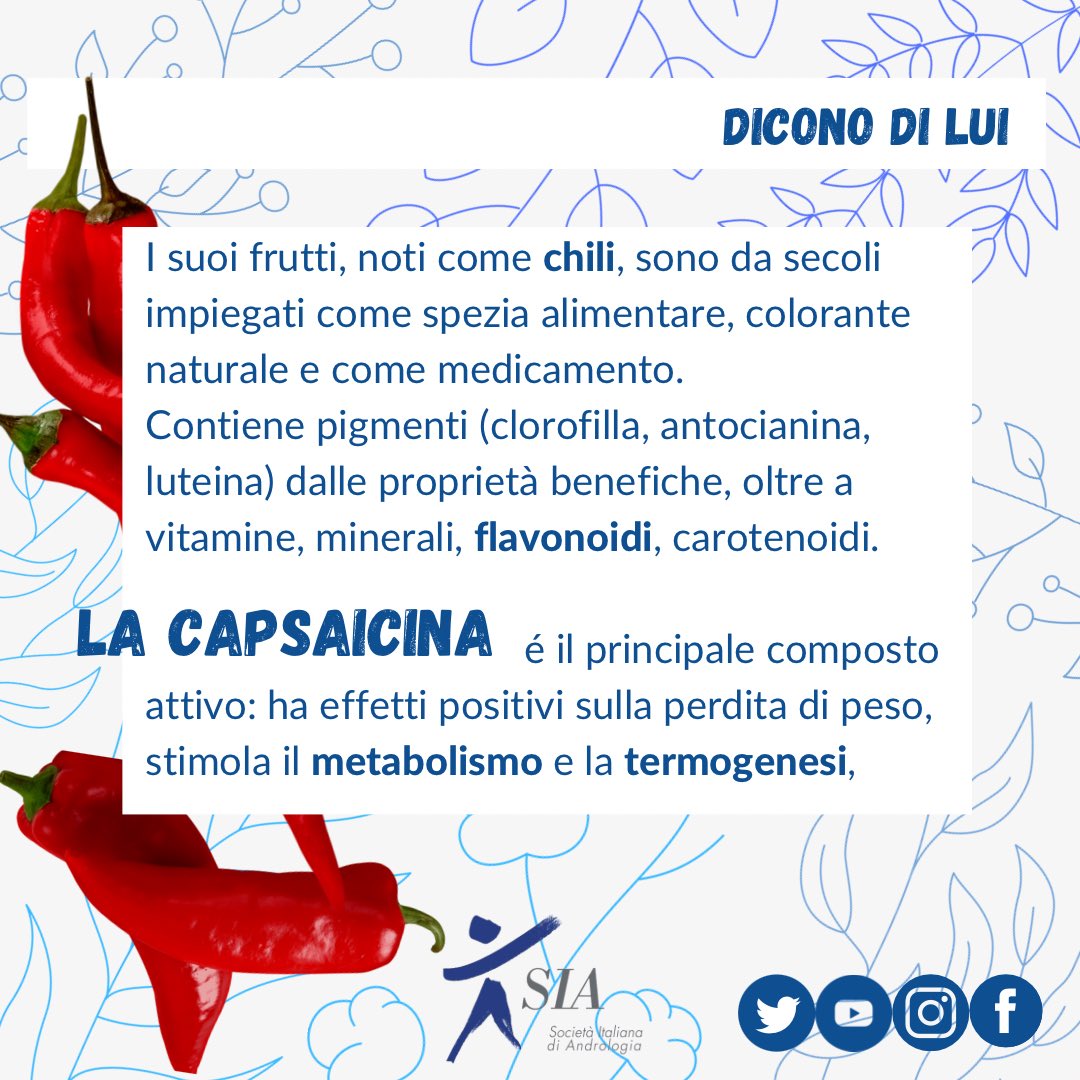 AndrologiaSia's tweet photo. #capsaicin has #antioxidant, #antiinflammatory and #antiobesity properties. Helps male #sexualfunction in many natural #dietarysupplements.

#capsicumannuum #nutraceutical #nutraceutica #andrology #siaandrologiaitaliana https://t.co/jnQLHvm7Uv