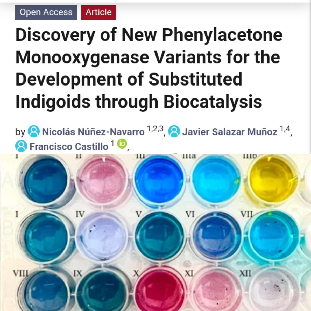 ✨It is a pleasure to share the last paper from our PhD student, Nicolás Núñez-Navarro. Congrats Nicolás!! And thanks to all the team <a href="/fjcastil1/">Francisco Castillo</a>
<a href="/jsalazarmunoz/">Javier Salazar</a> @pb3_lab <a href="/cxarramirez/">Cesar Ramirez-Sarmiento @cesarramirez.bsky.social</a> <a href="/I_PobleteCastro/">Ignacio Poblete Castro</a> <a href="/iibm_uc/">IIBM UC</a> <a href="/IngenieriaUC/">Escuela Ingeniería UC</a> <a href="/FQuimica_UC/">Facultad de Química y de Farmacia UC</a> <a href="/DoctoradosUC/">Escuela de Graduados UC</a> <a href="/IJMS_MDPI/">IJMS MDPI</a> <a href="/FZgroup_/">fzacconi Group</a>