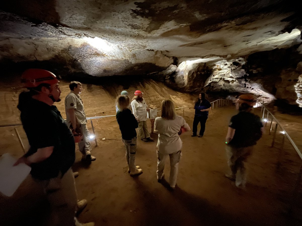 Wonderful day yesterday running a training workshop for @SAEnvirWater cave guiding staff at #NaracoorteCaves #WorldHeritage site. Worked through our latest research papers, teasing out science stories to share with park visitors. New research, new stories! 😃@UofA_SET @SAMuseum