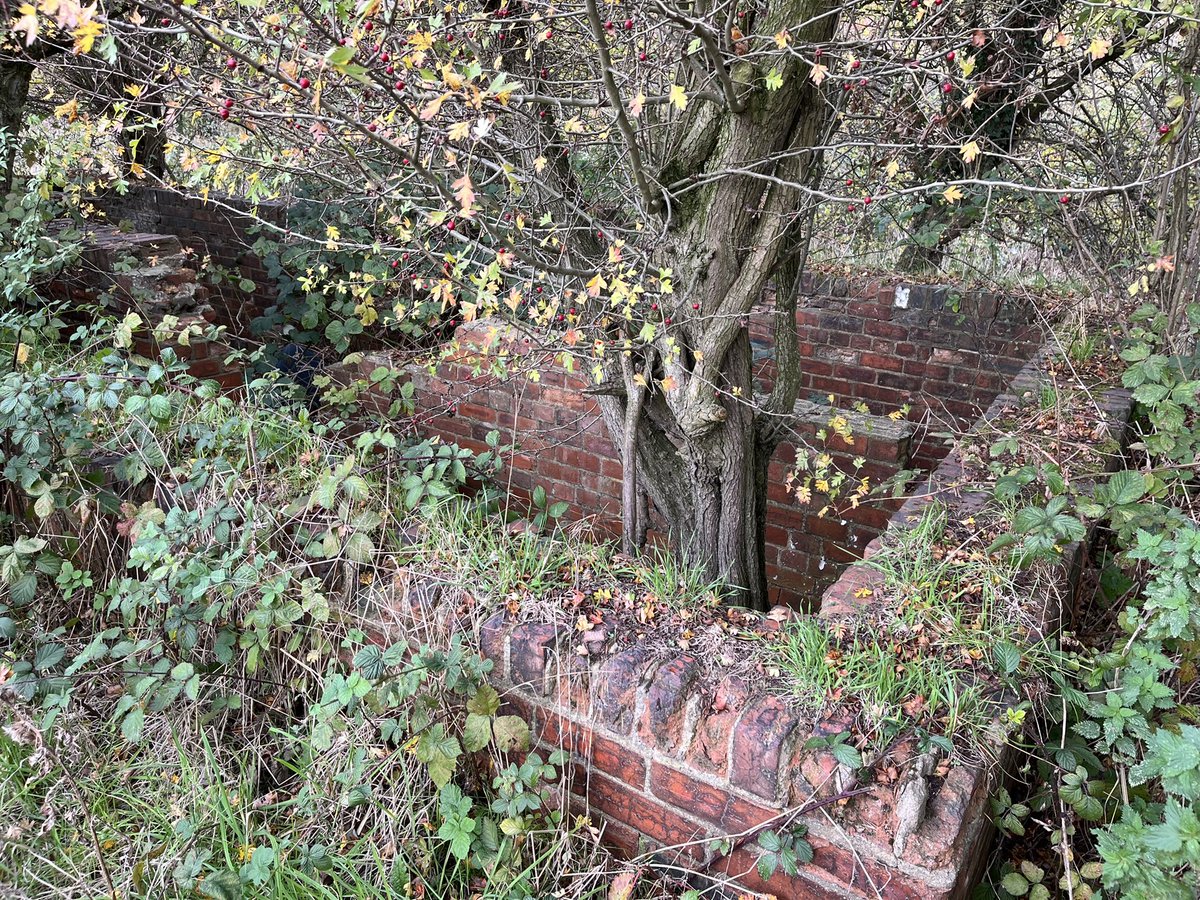 Jake Holliday tweet media