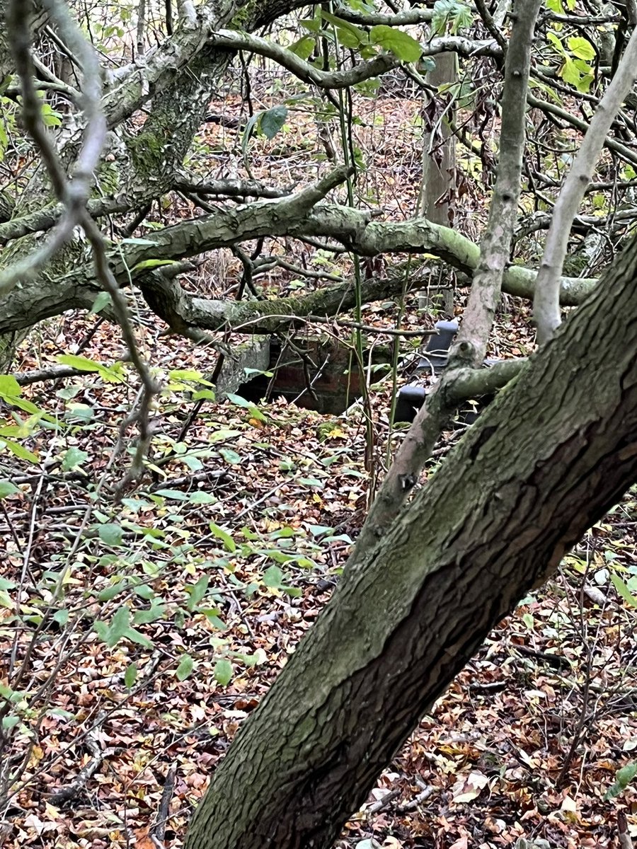 Jake Holliday tweet media