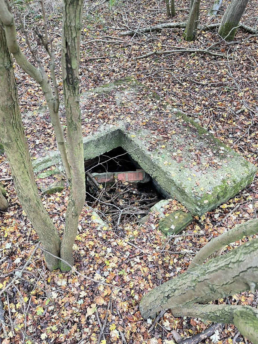 Jake Holliday tweet media