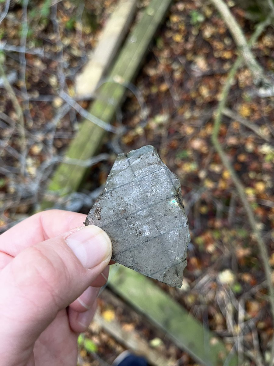 Jake Holliday tweet media