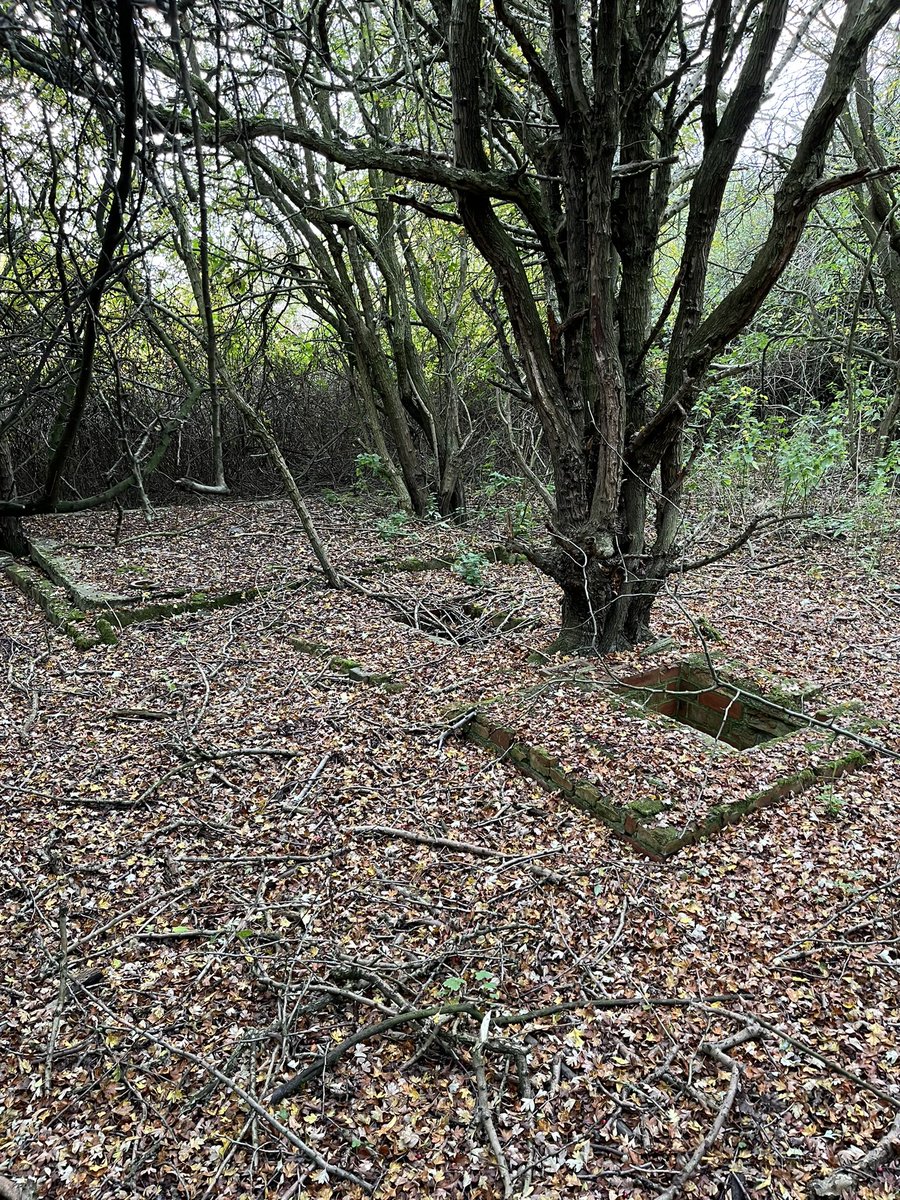 Jake Holliday tweet media