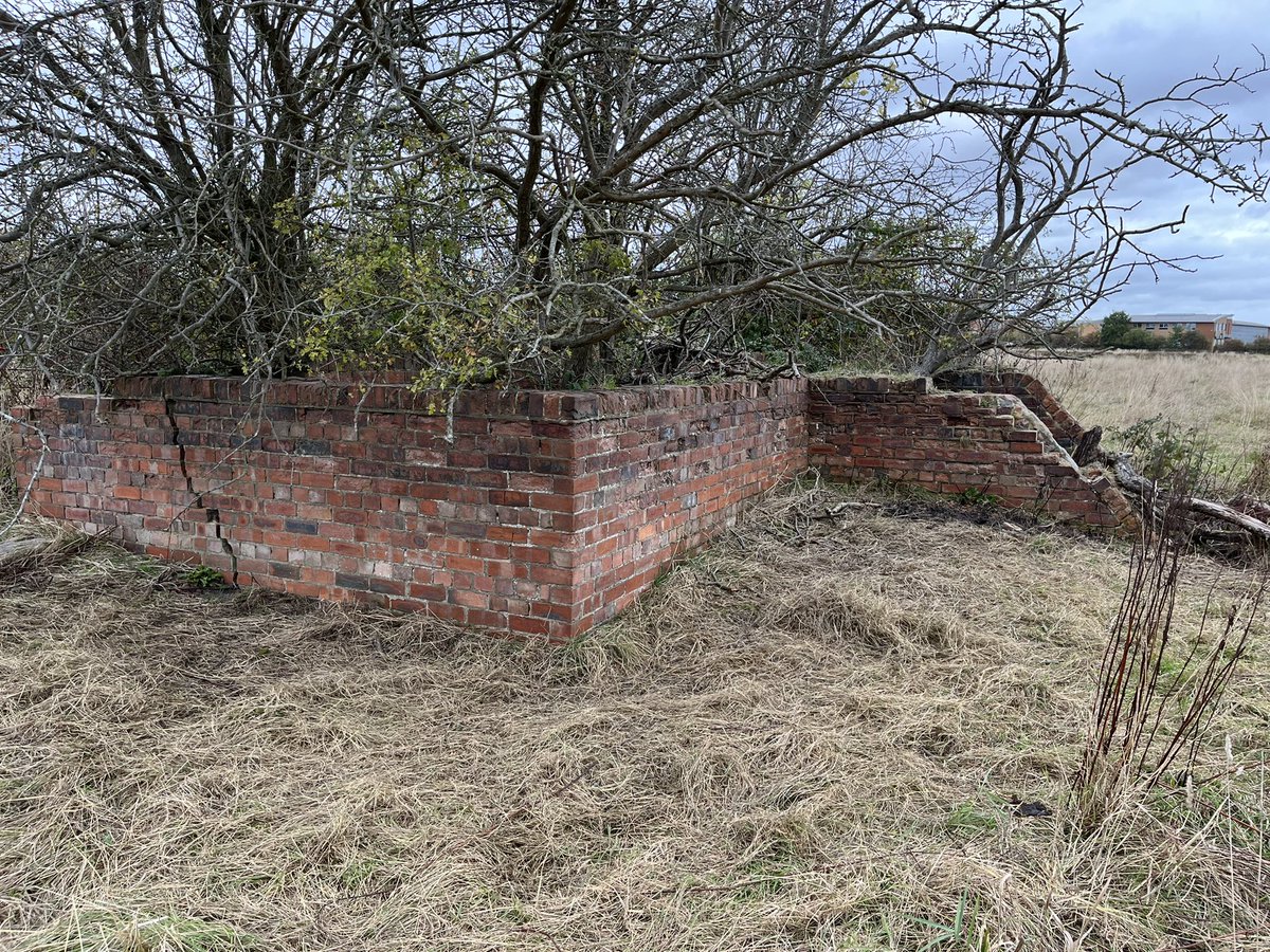 Jake Holliday tweet media