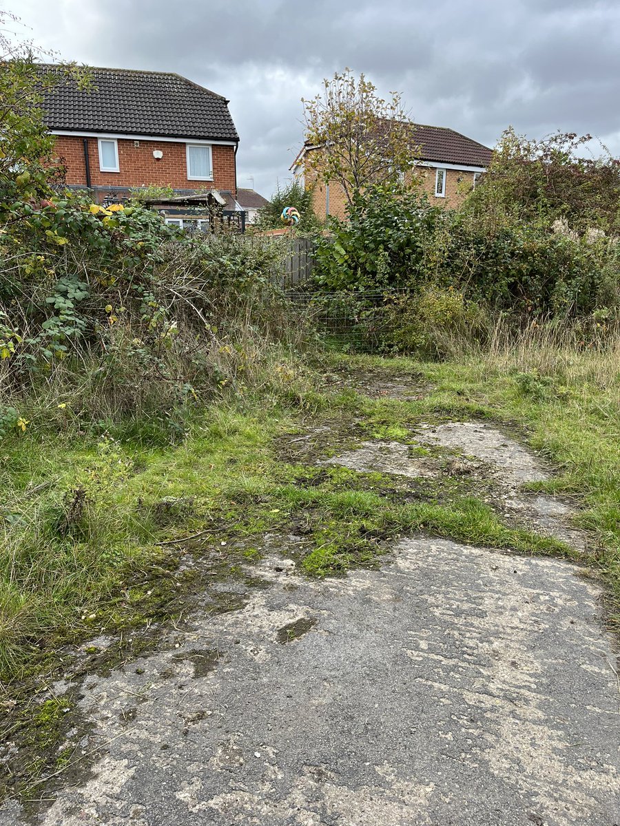 Jake Holliday tweet media