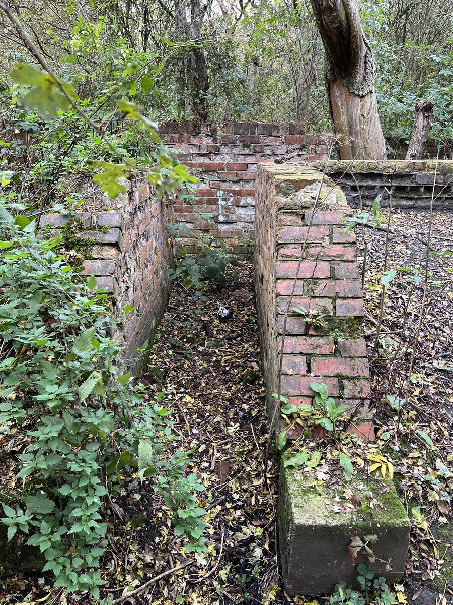 Jake Holliday tweet media