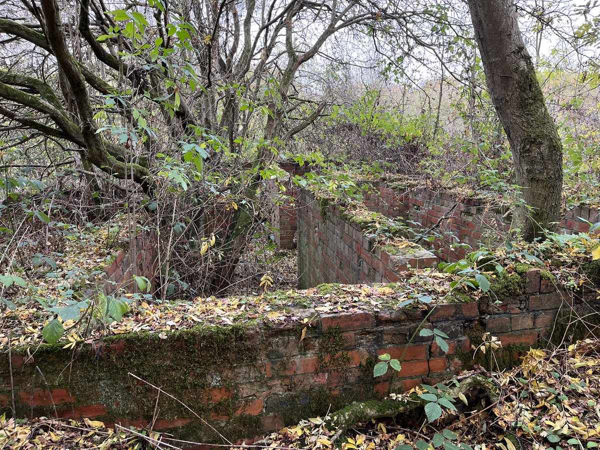 Jake Holliday tweet media