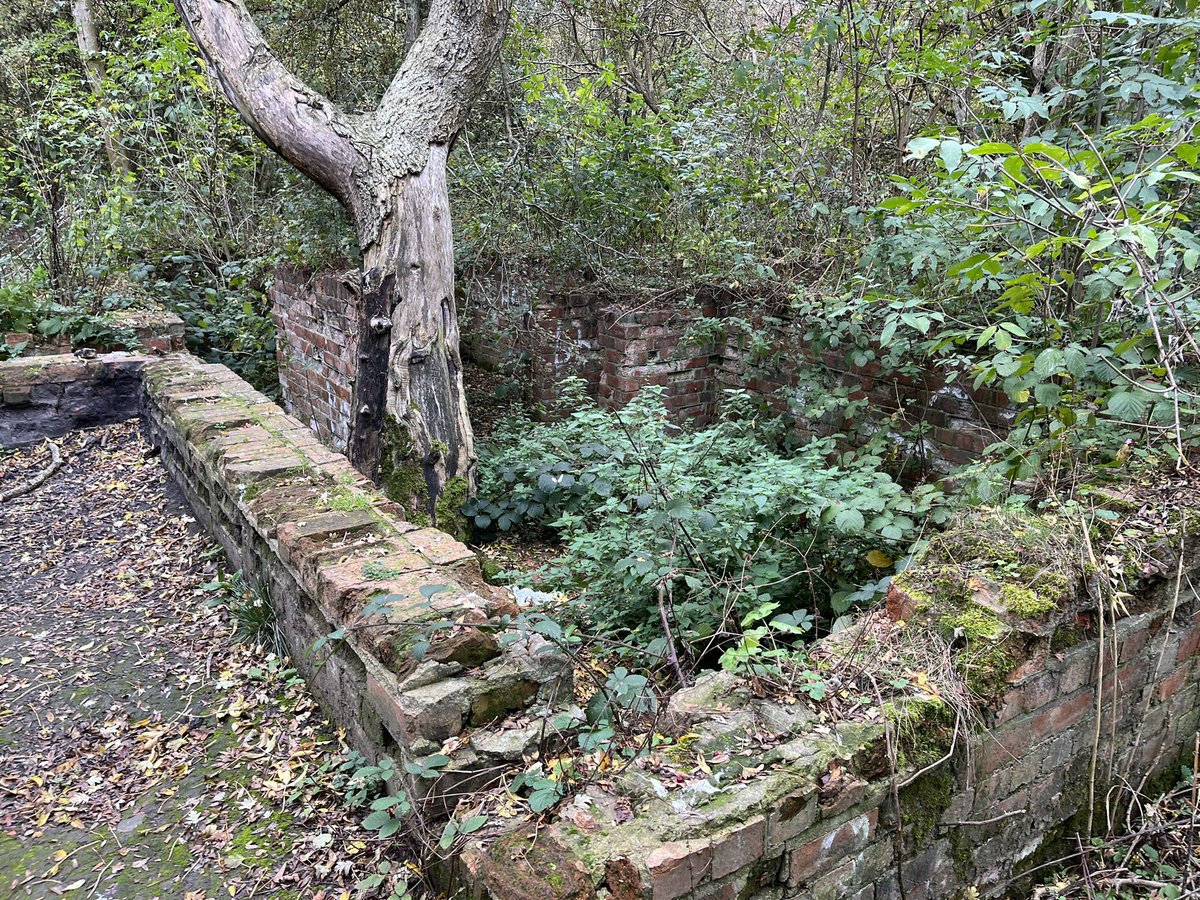 Jake Holliday tweet media