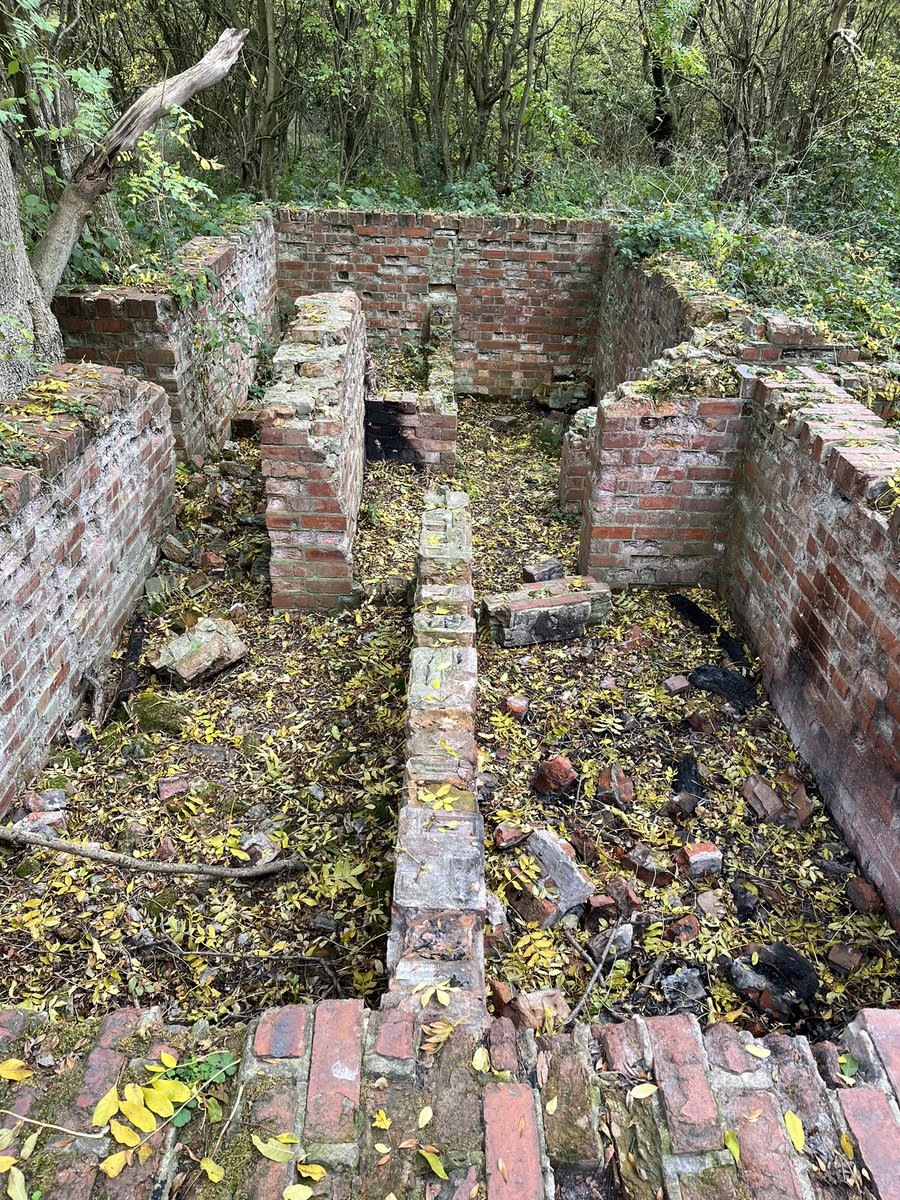 Jake Holliday tweet media