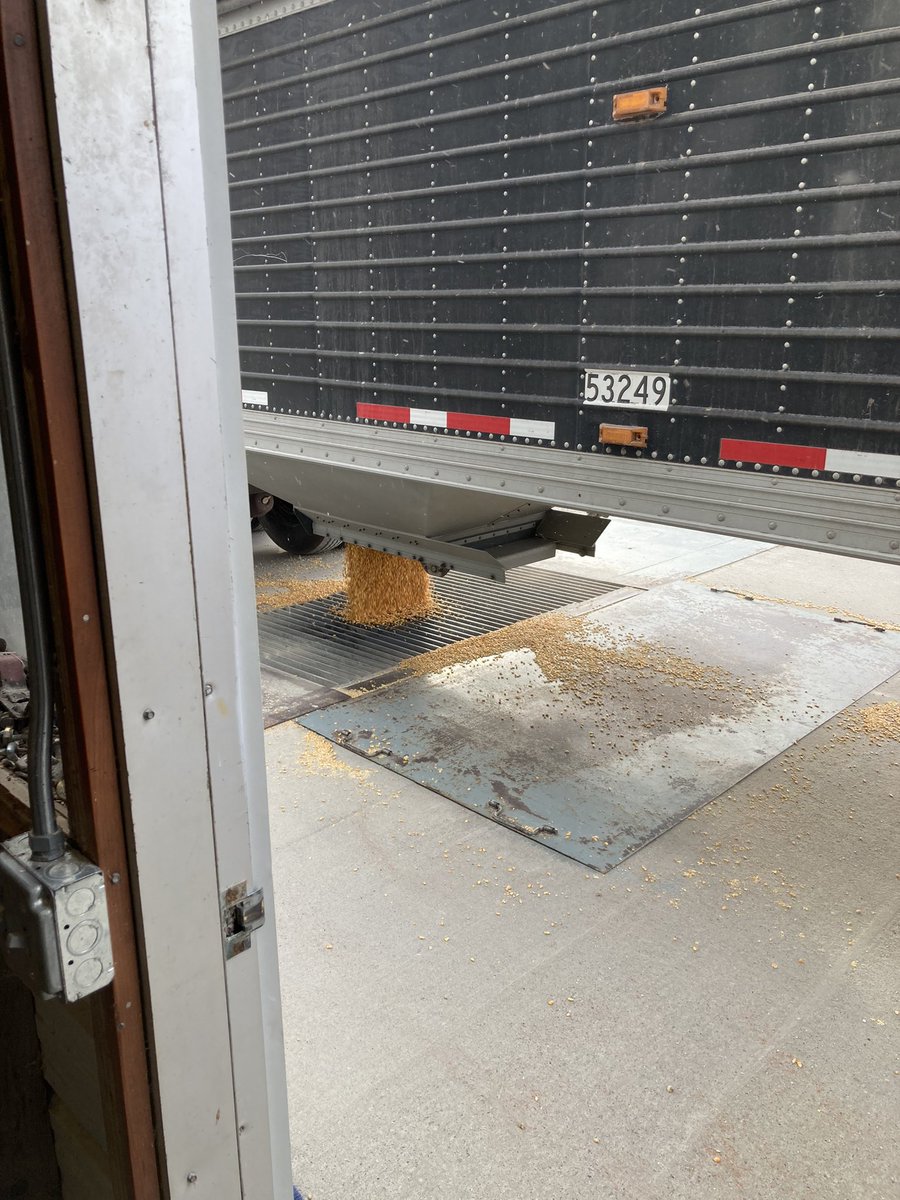 Not much more frightening than hearing a strange noise while dumping corn at the bin sight