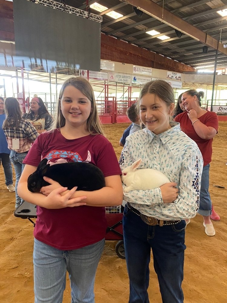 TISDLonghorns's tweet photo. The T.V.E festivities have started. Tarkington Middle School would like to thank Mrs. Stephanie Shirley and all parents for your relentless effort in helping our students prepare for https://t.co/1ZPtYGyMe9. Good luck shorthorns! https://t.co/4dSEEMGuUC