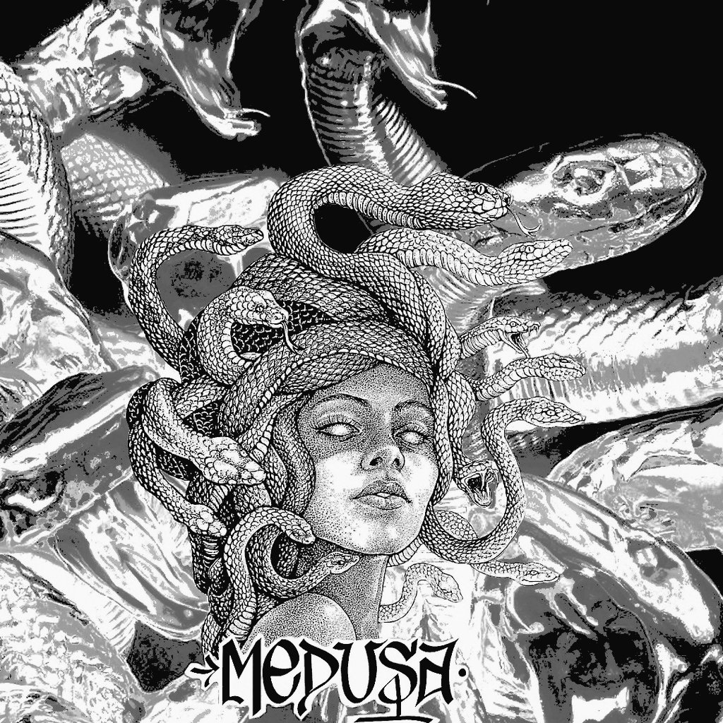 ❙ ❚  𖤍 、&amp;&amp; VALKYRIE TURNED
         ،   〜  IN MEDUSA !ީ    🕸️

        #SCREAMINGTEMPLE.