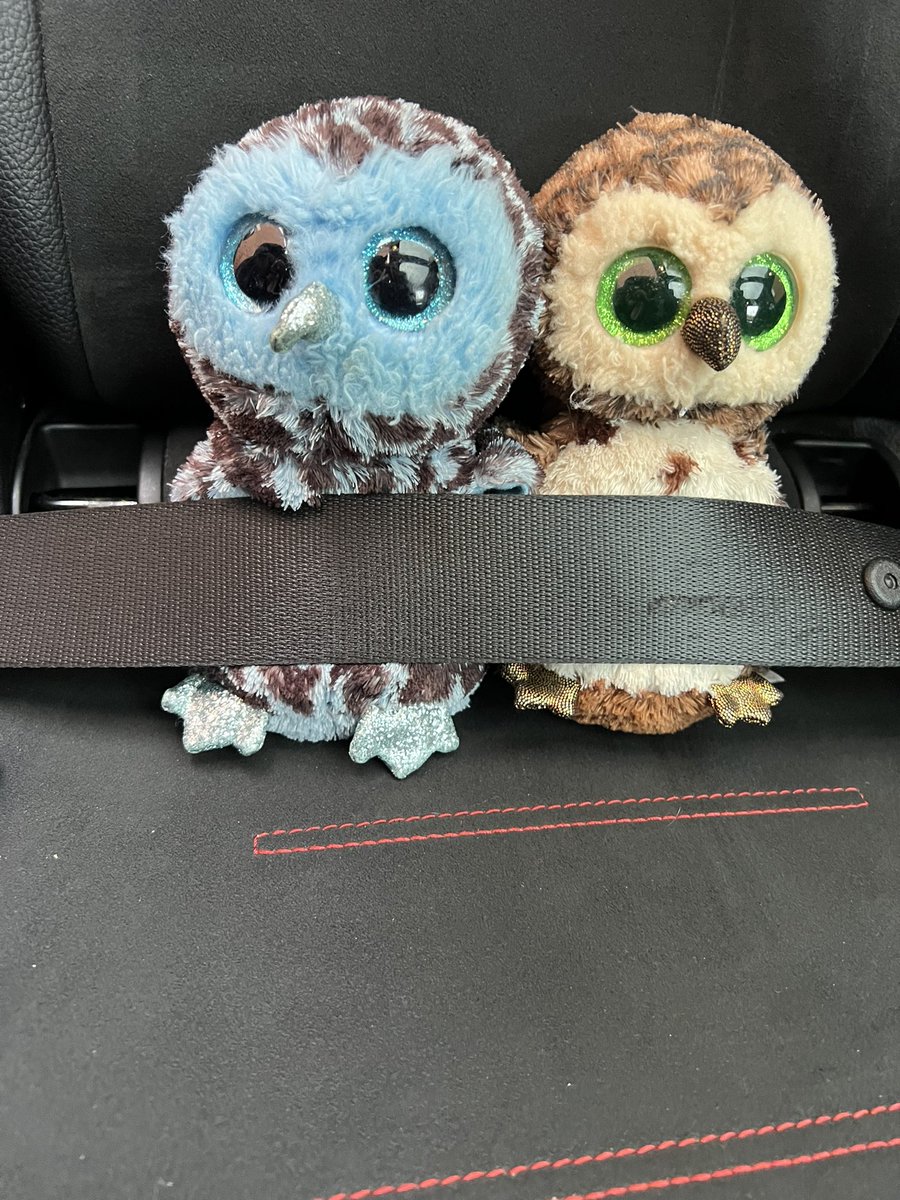 GoWiseOnline's tweet photo. So we have been busy supporting schools with our talks, so much so we have been rubbish updating our social media! We shall do that tomorrow! Oscar &amp; Oswald headed out today to help some younger pupils stay safe online #notalwaysonsocialmedia #staysafe #esafety #countylines https://t.co/MOXFdgxwYG