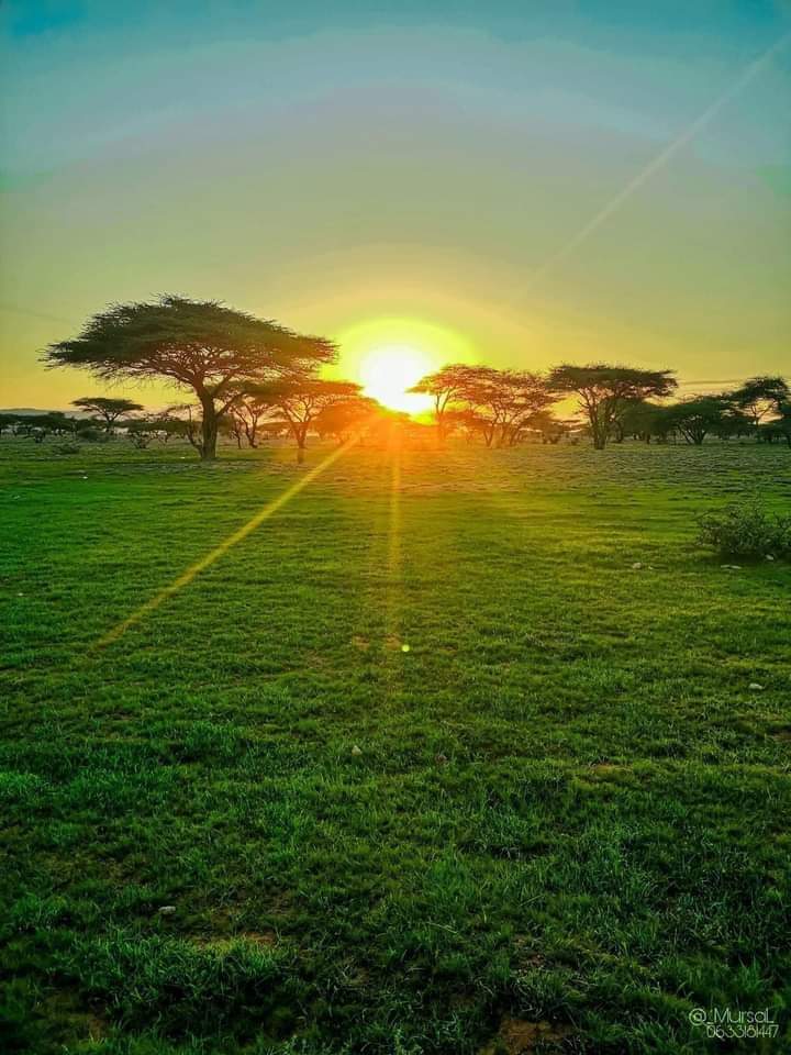 Gobalka Sool. Natural beauty.