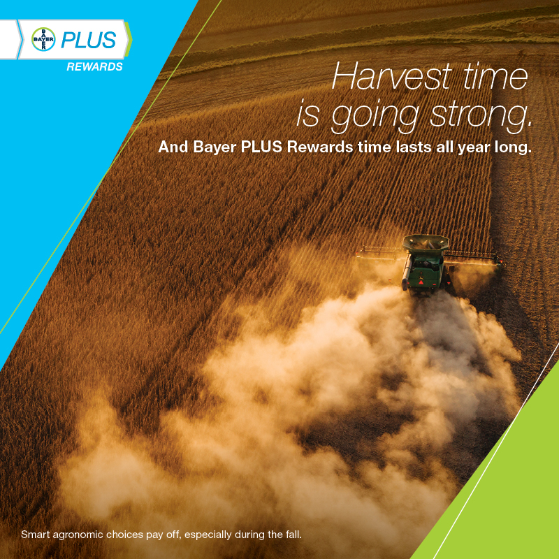 BayerCropProUS's tweet photo. As #Harvest22 continues, we think about what worked for our operations to continue improving, year after year.
Don't forget to calculate how those smart choices also pay off, year after year. https://t.co/6nvjgnfs9P
#BayerPLUS https://t.co/mJSPWQ14Ms