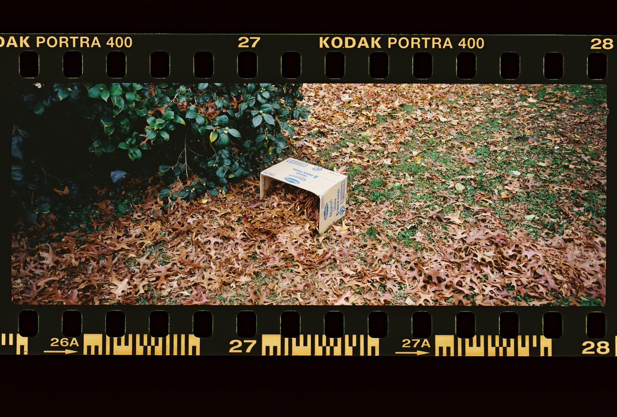 theharveydean's tweet photo. Autumn on panoramic film. https://t.co/Zkl7tB6XxL