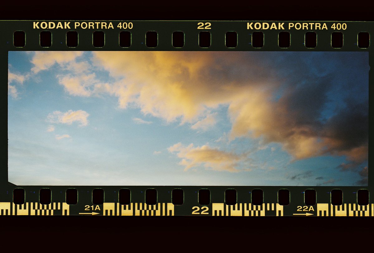 theharveydean's tweet photo. Autumn on panoramic film. https://t.co/Zkl7tB6XxL