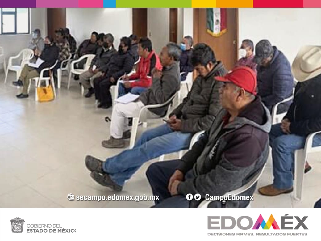 CampoEdomex's tweet photo. El día de hoy en el municipio de #Lerma se llevó a cabo el curso de capacitación a productores de #CarpaHerbívora con apoyo de la Dirección de Acuacultura y personal de la Delegación Metepec, con la asistencia de 25 productores.
#LaTierraQueNosUne
#EquipoSeCampo https://t.co/HcbHEkJ1oj
