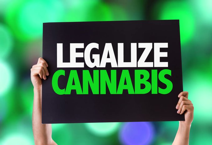 cannainvestors tweet picture