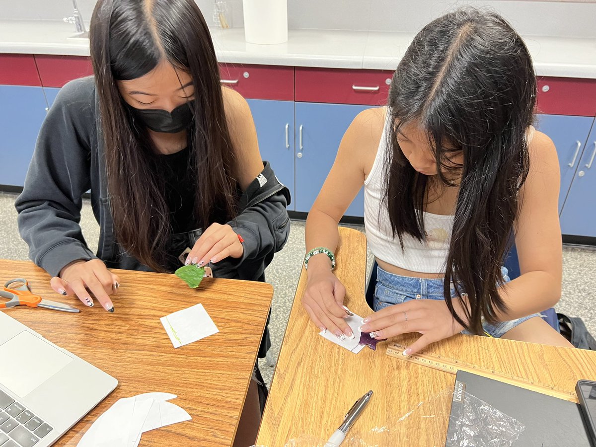 zhenbio's tweet photo. Which plant pigments are found in plant leaves? 🍃🍂 
Paper chromatography can separate the pigments by colors!🏳️‍🌈
#TodayatWHS
#zhenbio
#zhenhonorsbio https://t.co/5vl32eWN0L