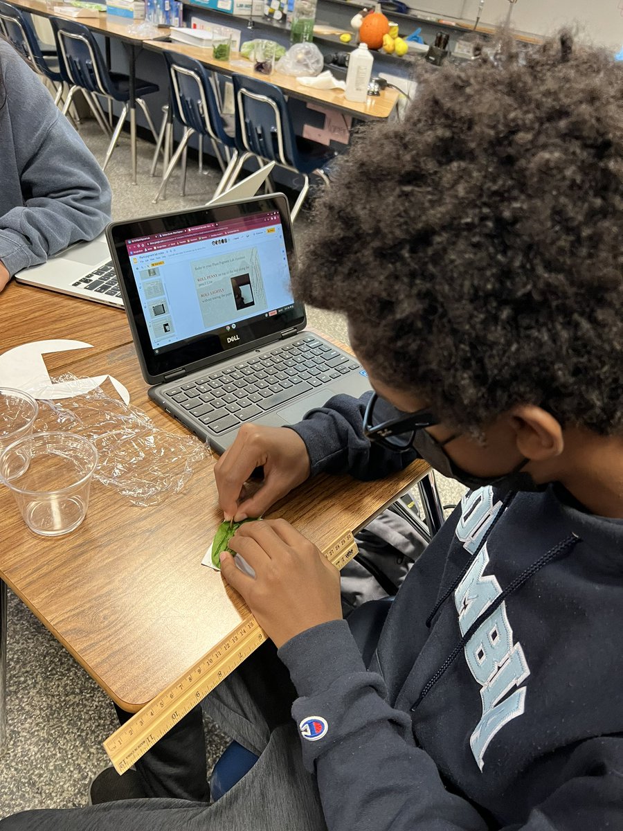 zhenbio's tweet photo. Which plant pigments are found in plant leaves? 🍃🍂 
Paper chromatography can separate the pigments by colors!🏳️‍🌈
#TodayatWHS
#zhenbio
#zhenhonorsbio https://t.co/5vl32eWN0L