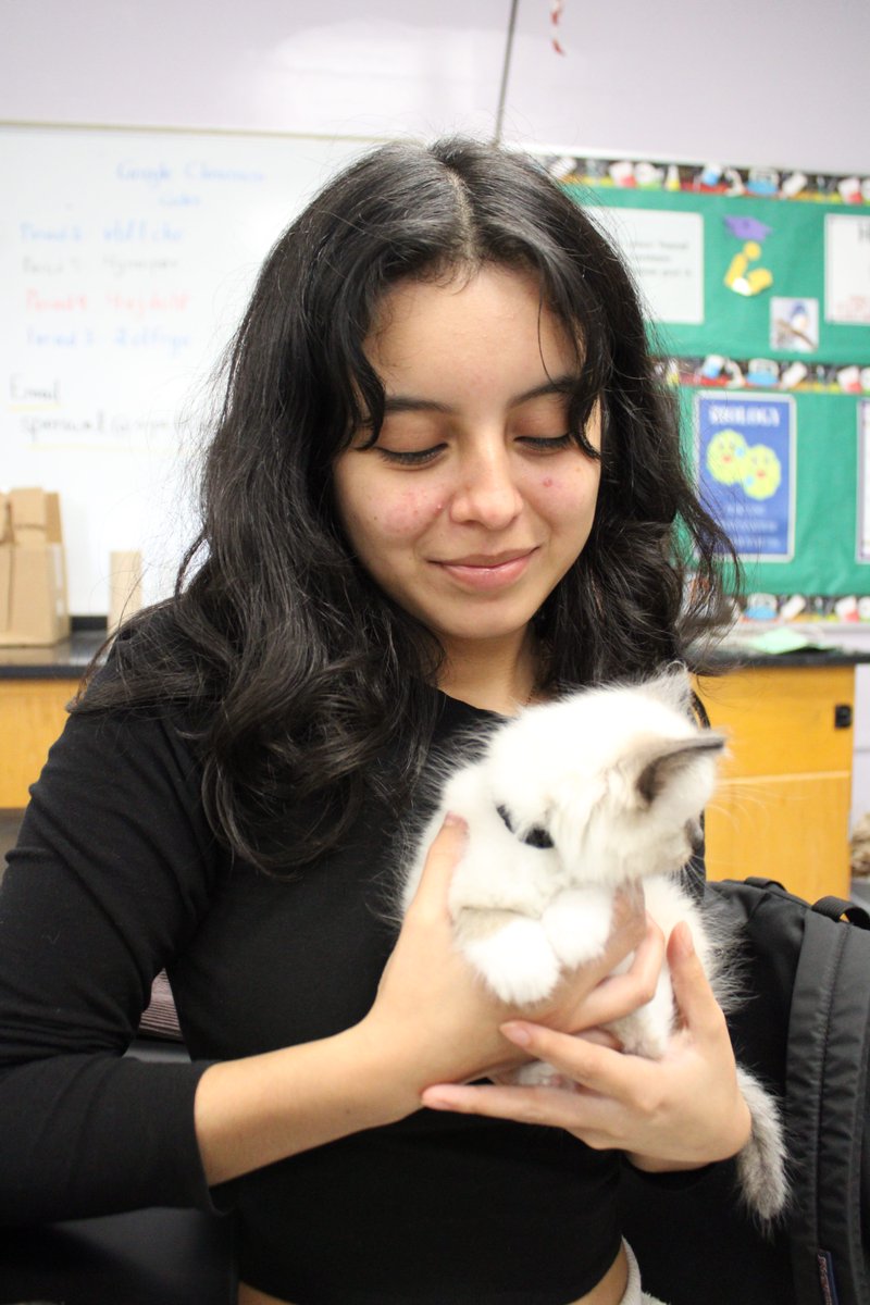 waukHS's tweet photo. The WHS Veterinary Club got together and learned how to work with newborn kittens! Join them as they learn about pet care and the path to becoming a veterinarian! Washington Campus, Room 202, Fridays from 3:15 - 4:45 pm https://t.co/6gW31fzhUn