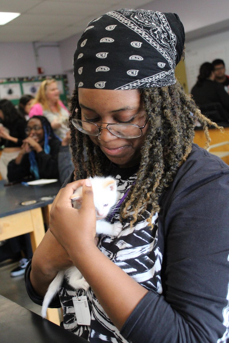 The WHS Veterinary Club got together and learned how to work with newborn kittens! Join them as they learn about pet care and the path to becoming a veterinarian! Washington Campus, Room 202, Fridays from 3:15 - 4:45 pm