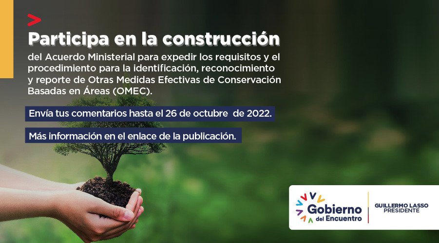 EcuadorMAE's tweet photo. Invitamos a la ciudadanía a participar de la construcción del Acuerdo Ministerial para la identificación, reconocimiento y reporte de Otras Medidas Efectivas de Conservación Basadas en Áreas.

Conoce más en el siguiente enlace ➡️https://t.co/Piphk4n5cl https://t.co/mLphGfxwwe