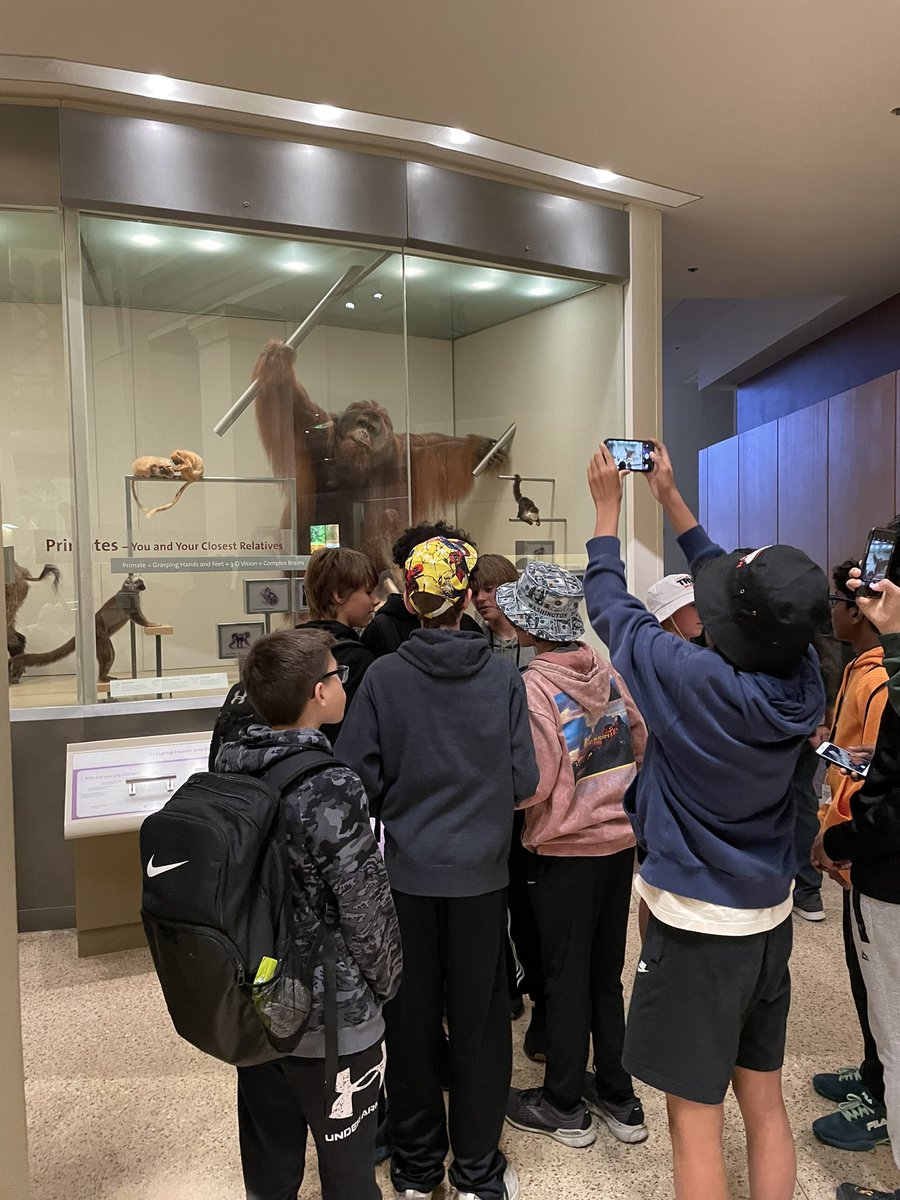 wilch_beth's tweet photo. All @KarrerMS 8th grade photo in front of Capitol Building! Also Museum if Natural History! #bus4fun https://t.co/NNWfQ476GQ