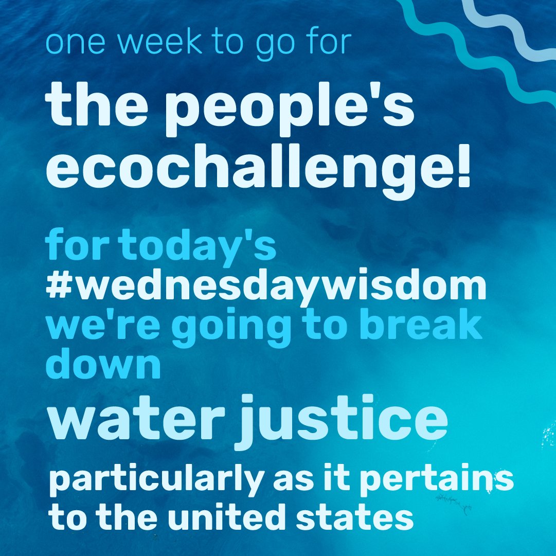 Ecochallenge.org tweet media